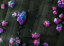 Stone Flower (Кам’яна квітка).jpg