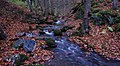 Autumn River (128869533).jpeg