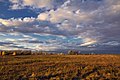 Autumn Sky (23374311).jpeg