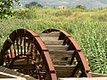 Noria, Orihuela.jpg
