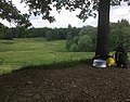 Aubinger Lohe 5592.jpg