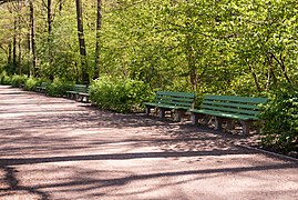 Benches, Volkspark Jungfernheide, Berlin (20150503-DSC04922).JPG