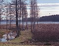 Autumn (5670490300).jpg