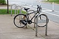 Bicycle rack, Dalhousie University – Halifax, NS – (2018-08-26).jpg