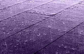Purple rain on roof.jpg