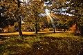 Autumn Sun (73308739).jpeg