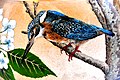 Art from Bangkok Glass Photographed by Trisorn Triboon (7).jpg