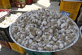 Open street food market in Bizerte 02.jpg