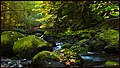 Autumn Stream (15496065108).jpg