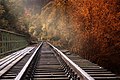 Autumn (85539805).jpeg