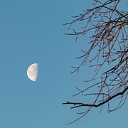 Münster, Aasee, Blick zum Mond -- 2019 -- 3518.jpg