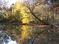 Autumn Reflections (61576476).jpg