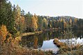 Autumn The Forest Pond (127808509).jpeg
