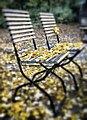 Autumn (18987009).jpeg