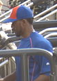 AntonioBastardoMetsDugout.jpg