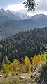 Autumn in Kalam.jpg