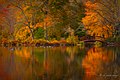 Autumn Lake (127958337).jpeg