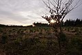 Autumn Sunset (131277647).jpeg