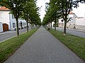 Allee (Ballenstedt) Blick 04.jpg