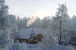Karge talvehommik Hinnozirgol. Otepää kõrgustik