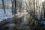 Penijõgi. Matsalu 184