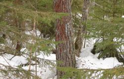 http://www.360.ee/cache/multithumb_thumbs/c.250.160.16777215.0...images.stories.blogi-pildid.karumatk%208.jpg