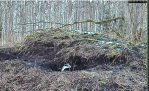 Mägrakaamera