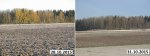 Viimased haavad ja kased langetasid lehti ning taigamets läks raagu 