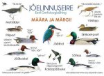 Jõelinnuseire